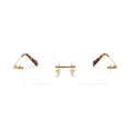 Clarity Lite Tortoise Clear
