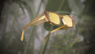 9FIVE Angelo Gold Snake - Reflective Gold Sunglasses
