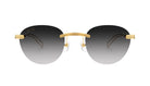 9FIVE Dime Lite 24k Gold - Gradient Sunglasses